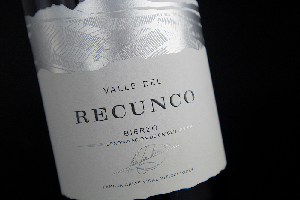 Valle del Recunco
